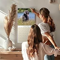 Vista 1221 de Razas de Perros 2017