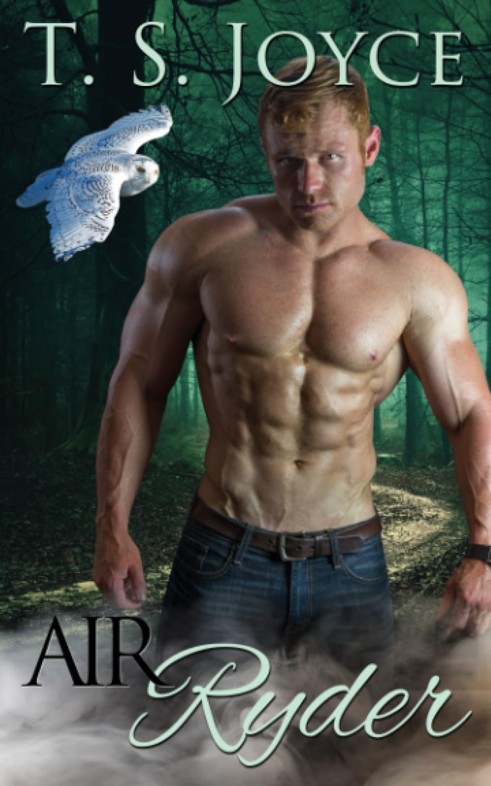 Air Ryder: Volume 3 (Harper's Mountains)