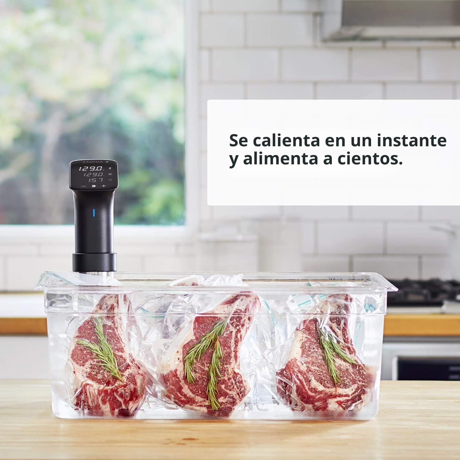 Amazon.com: Anova Culinary Sous Vide Precision Cooker Pro, 1200