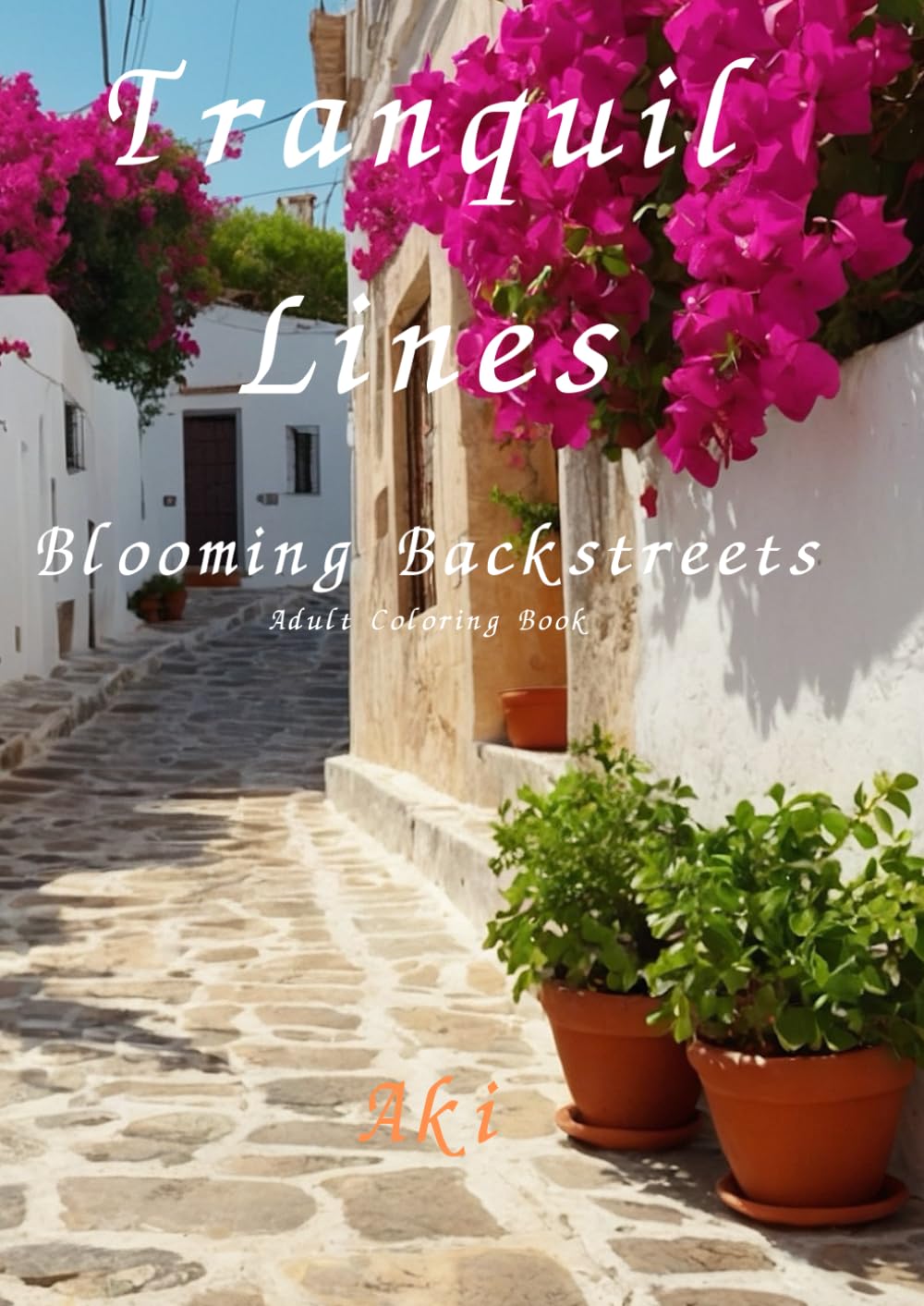 Tranquil Lines: Blooming Backstreets:Adult Coloring Book