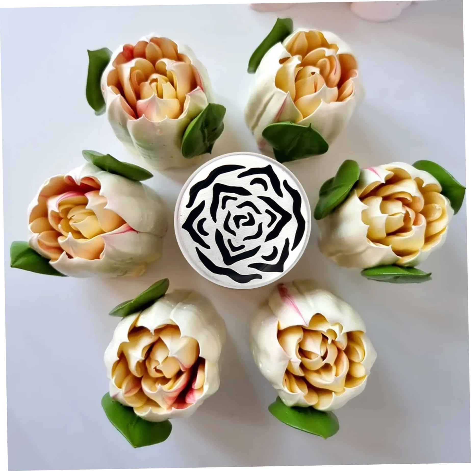 Punte di tubazioni russe, 6 pezzi 6 stili inossidabile accordo con tubazioni floreali, forniture per decorazioni per torte facili da pulire per la cucina cucina di cottura fai -da -te, russo