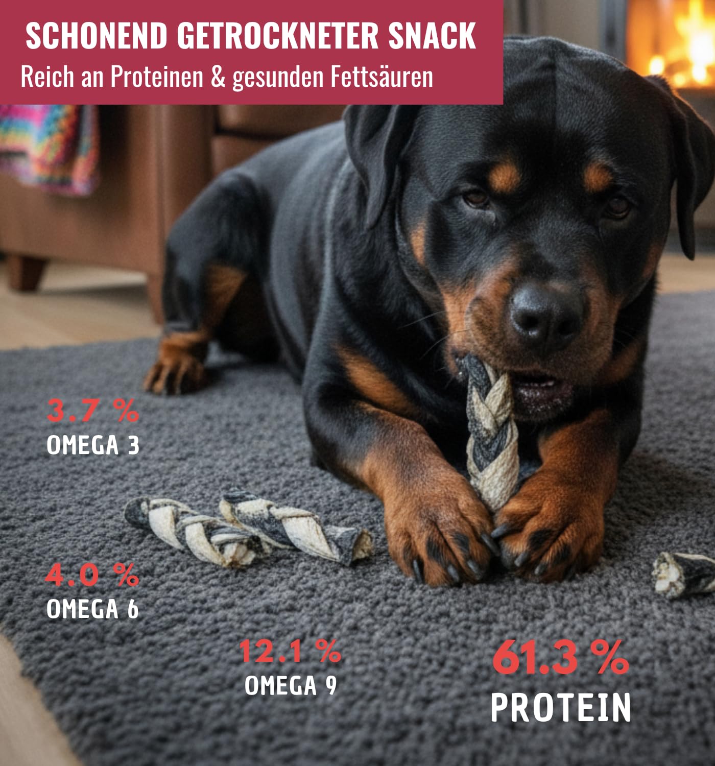 100% LACHS-ZÖPFE aus Lachshaut 6x140g Schonend getrocknete Hundesnacks aus Fisch - Lang haltbar, Mit Omega-3, 6 & 9, Proteinreich, nährstoffreich & ohne Zusatzstoffe von RiNa Fisch Hundesnacks