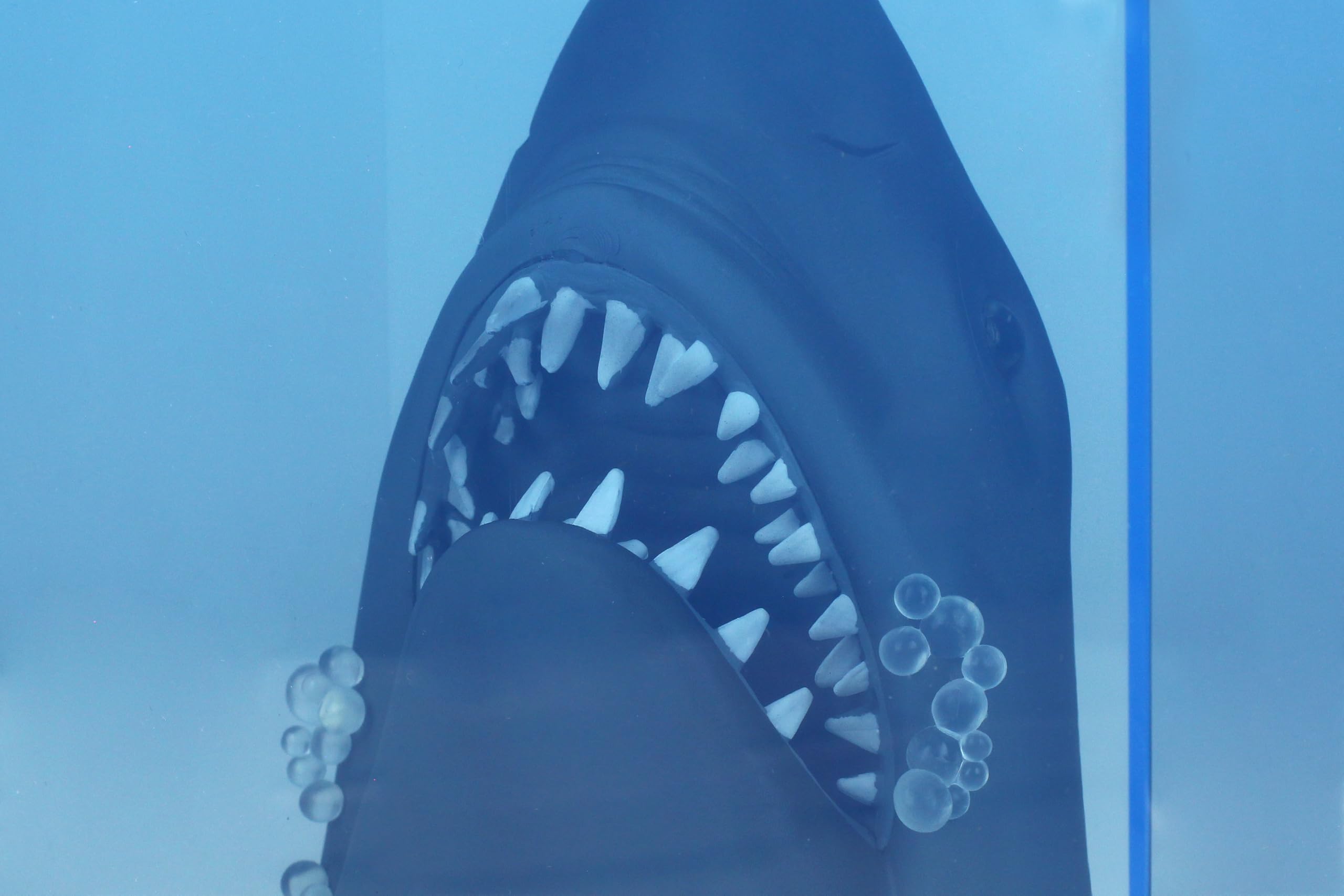SD Toys Figurine avec lumière Poster 3D Requin Exclusive 50e Anniversaire