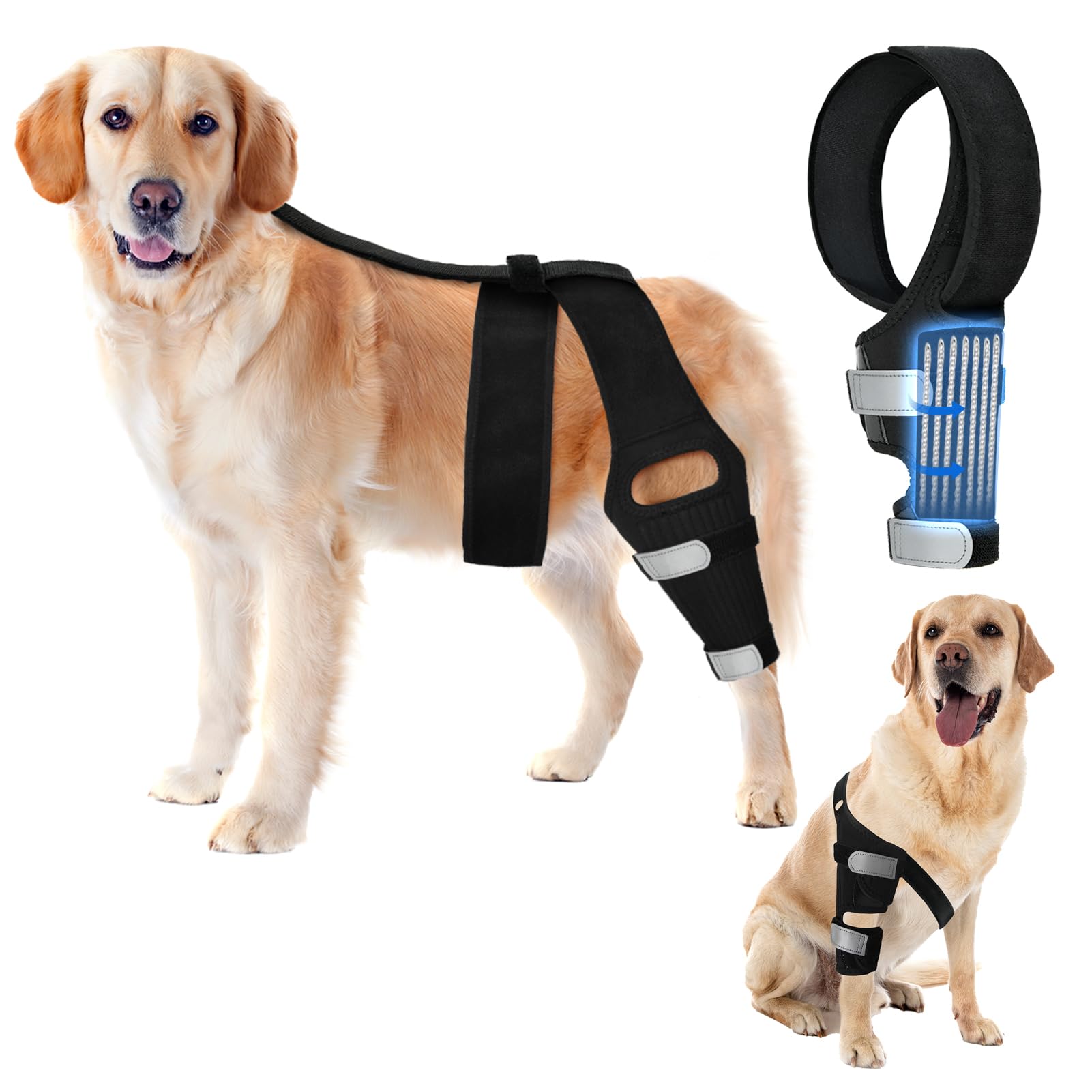 Ortocanis - Immobilisateur De Genou Pour Chien - Genouillère Pour Patte Droite - Rupture De Ligaments, Luxation De Rotule, Récupération Postopératoire - Néoprène Spécial - Taille : XXXS De 17 A 19 Cm