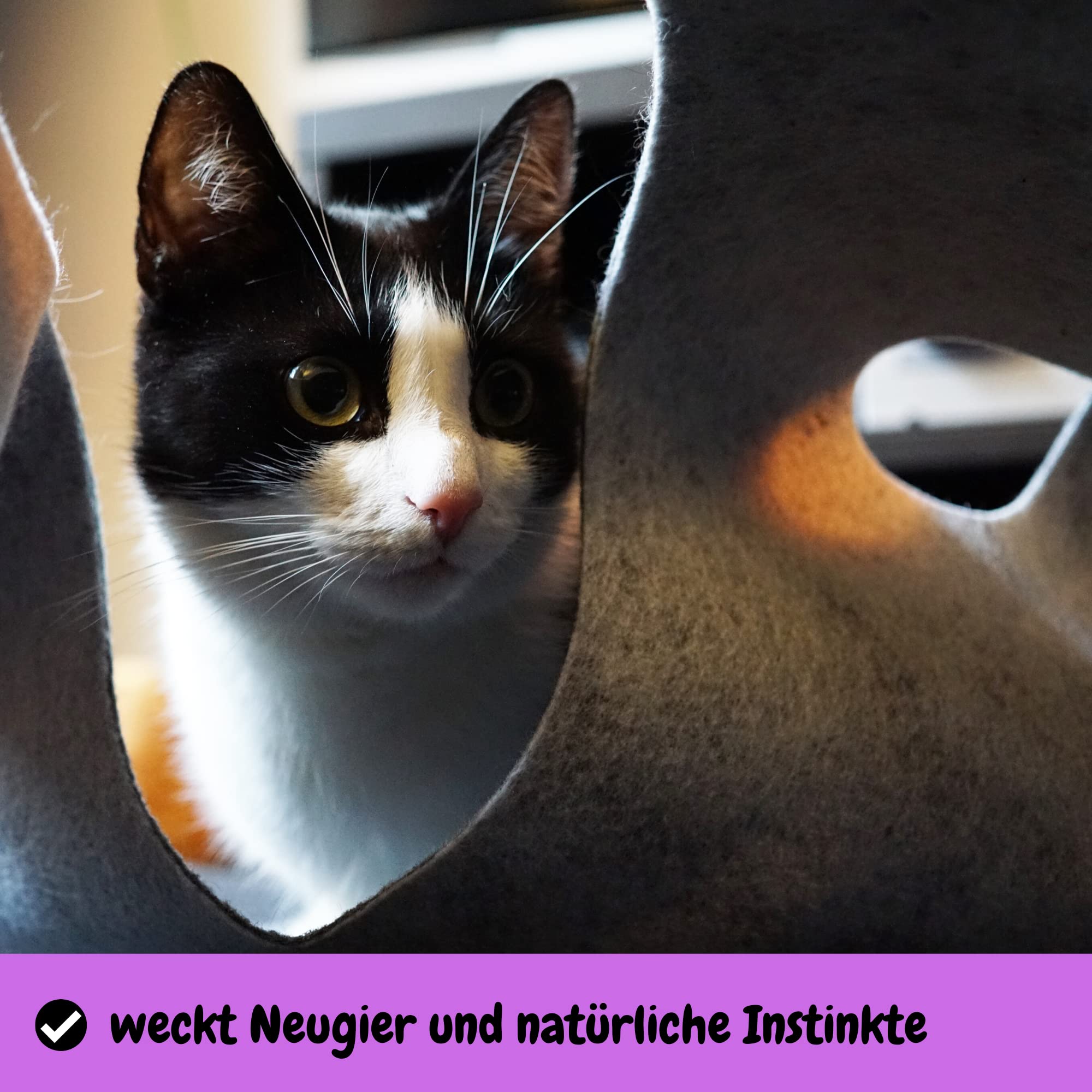 CatMountain® Katzenteppich Katzentunnel Katzenspielzeug interaktives Katzenspielzeug Kitten Spielzeug für Deine Katze.