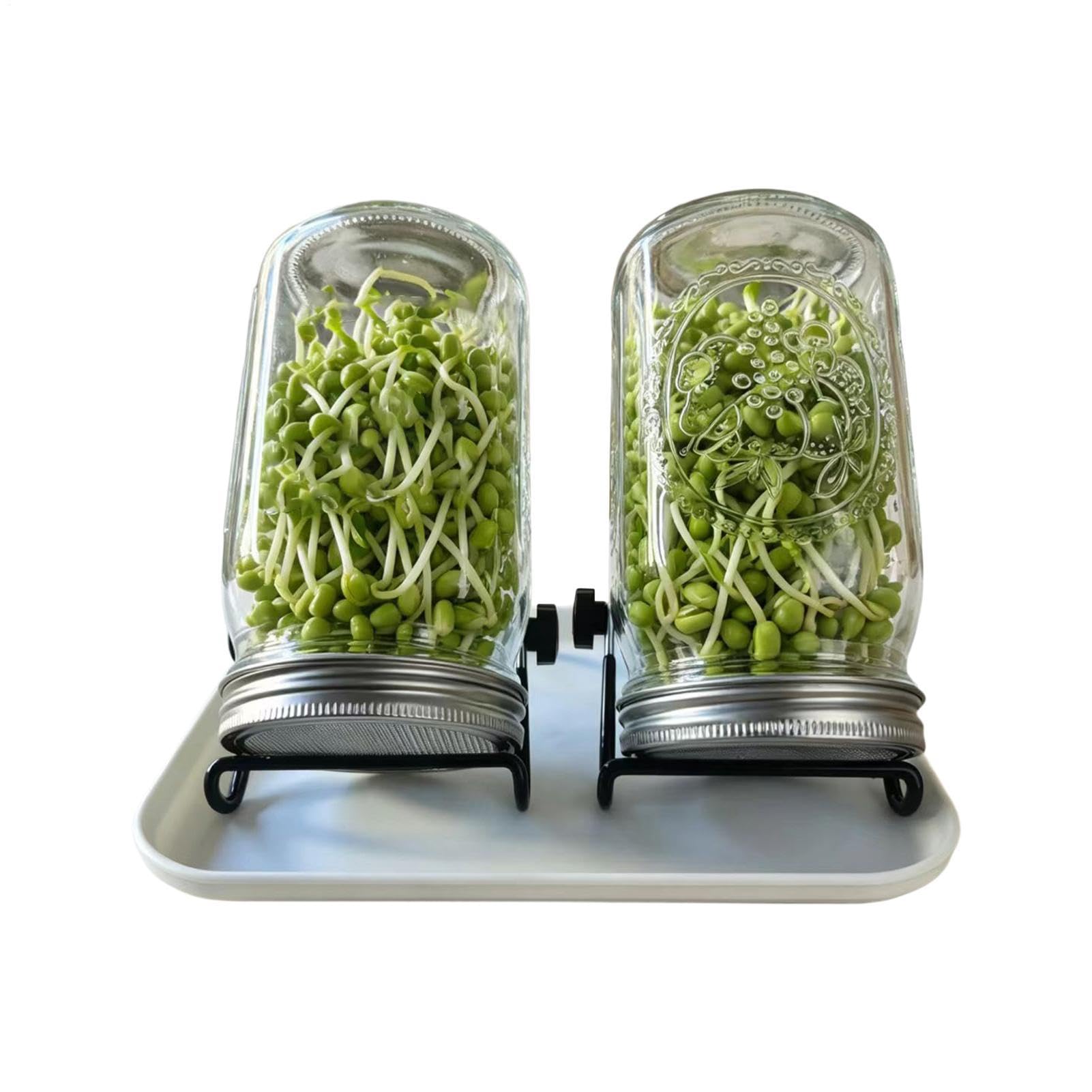 Kit de Germination pour la Maison Légumes Santé à