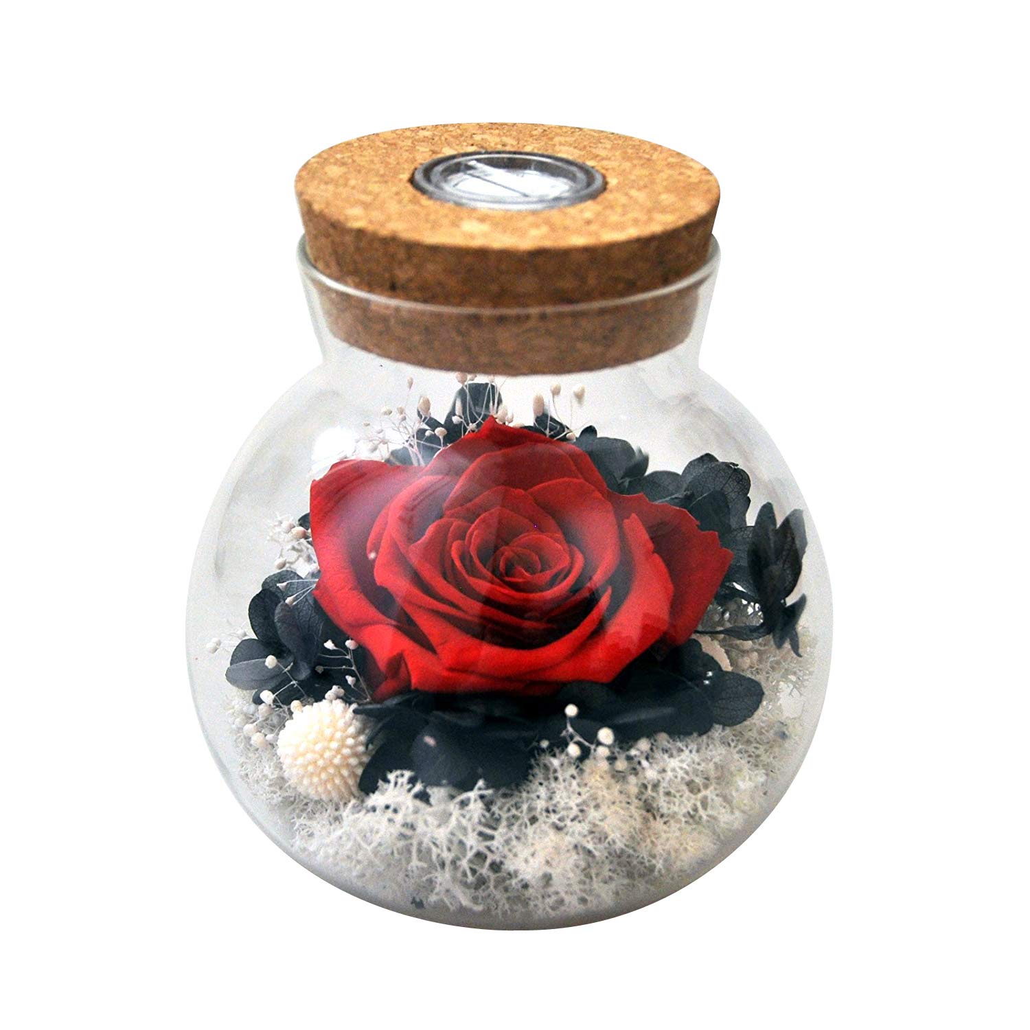 Flower Water Globe Vase Decor For You