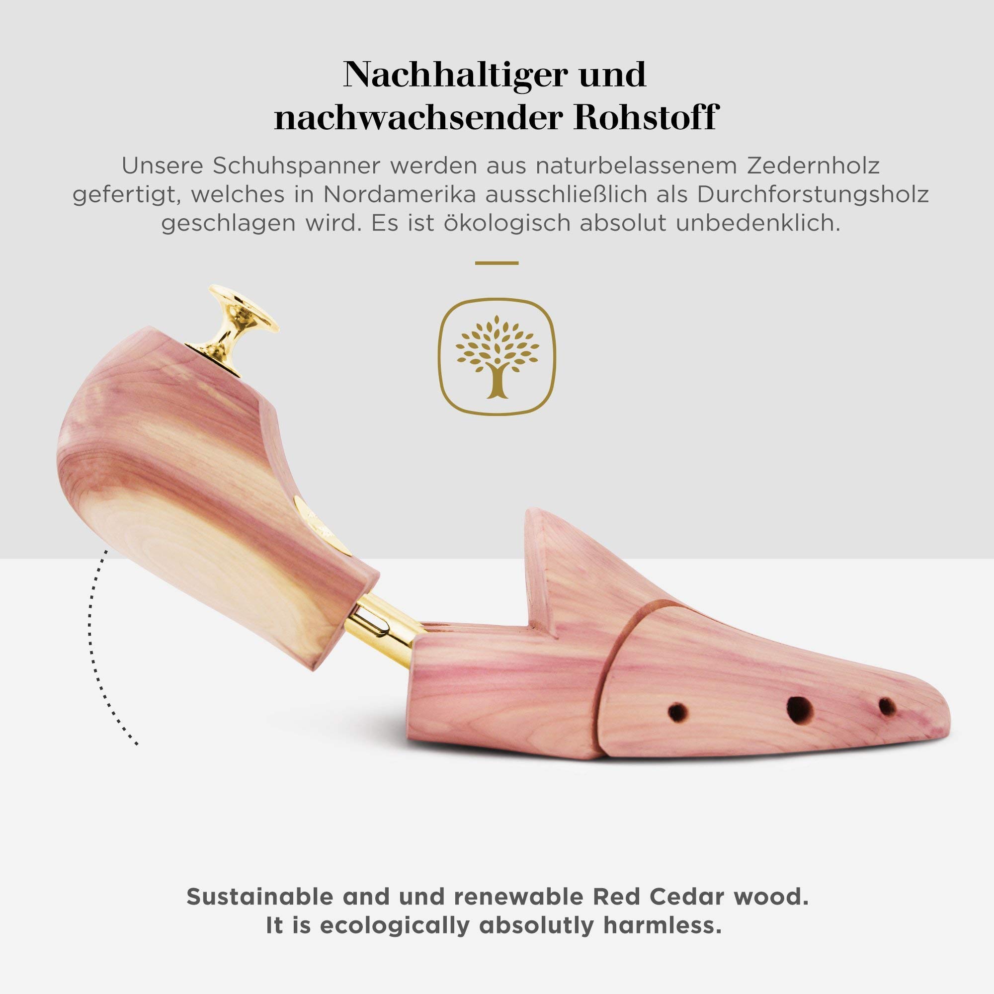 Schlesinger – 4 Paar Premium Herren Schuhspanner aus edlem Zedernholz für eine optimale Schuhpflege. Modell Kaiser. Größe 35 – 52 in Silber oder Gold.…