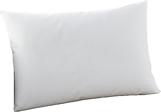 lumbar pillow insert