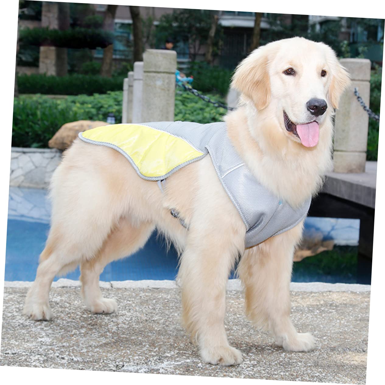 Kisangel 2pièces Gilet Rafraîchissant pour Chiens s Veste De Refroidissement Respirante Et Réfléchissante pour Animaux De Compagnie Été Couleurs Assorties