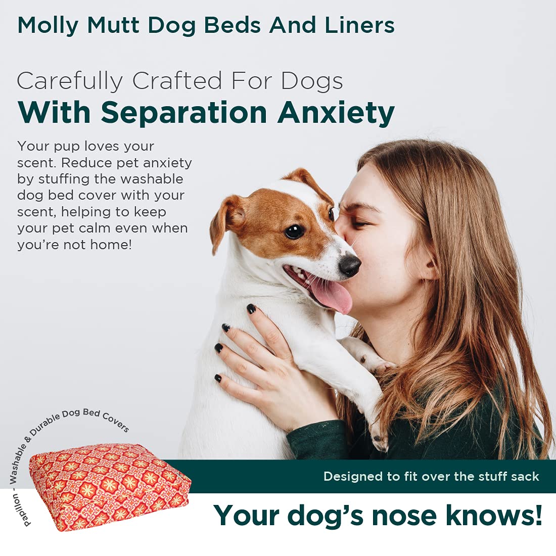 molly mutt papillon