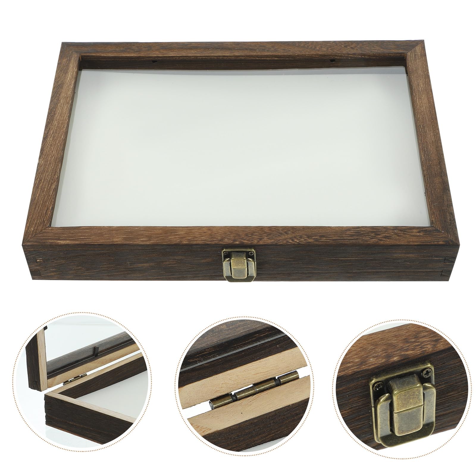 Générique Boîte à Spécimens de Plantes en Bois de Pin 31X22X4 CM avec Tapis Blanc pour Épinglage Vitrine D’Entomologie Compacte et Légère Présentoir Insectes et Lépidoptères pour