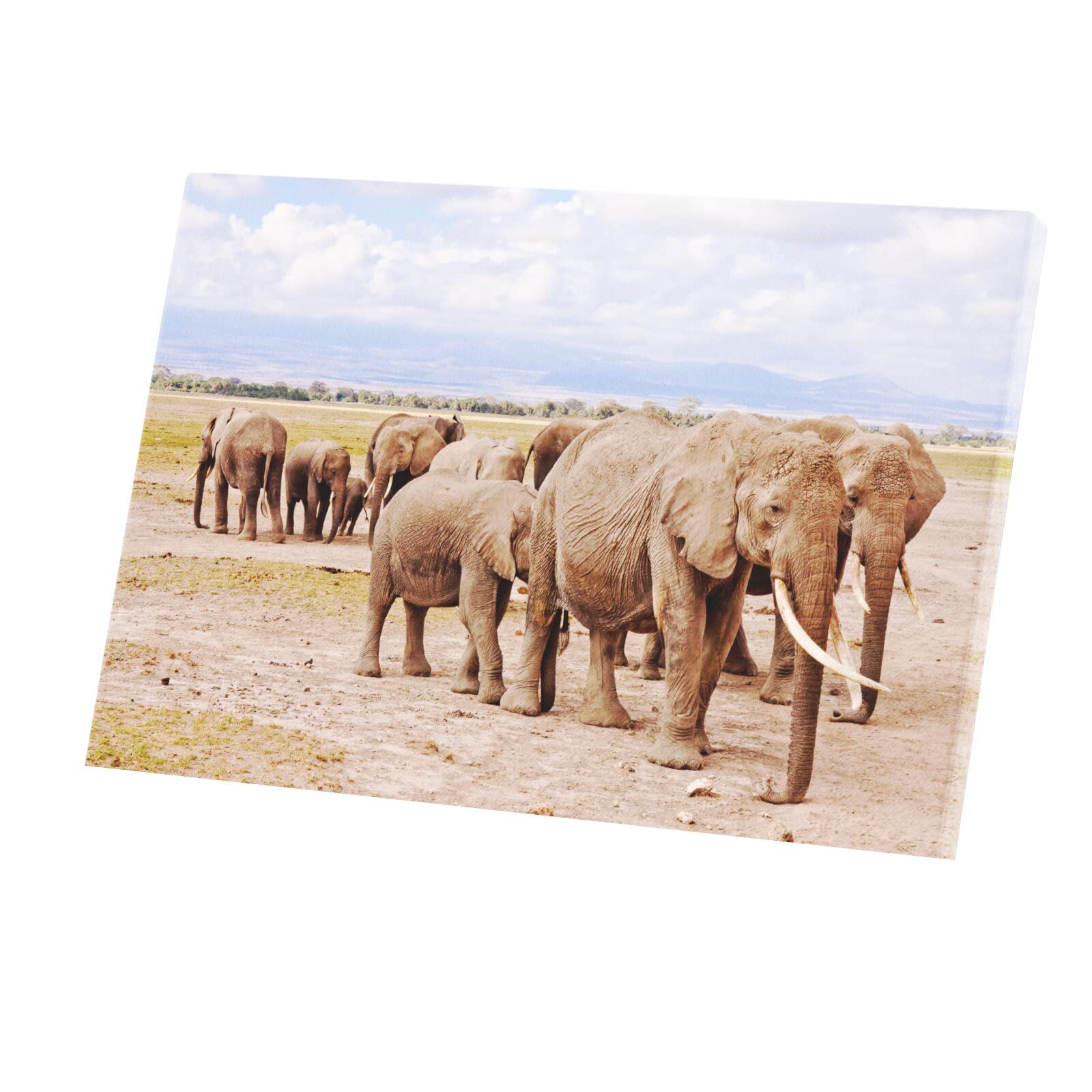 Poster éléphants savane tableau mural pour réchauffer un mur