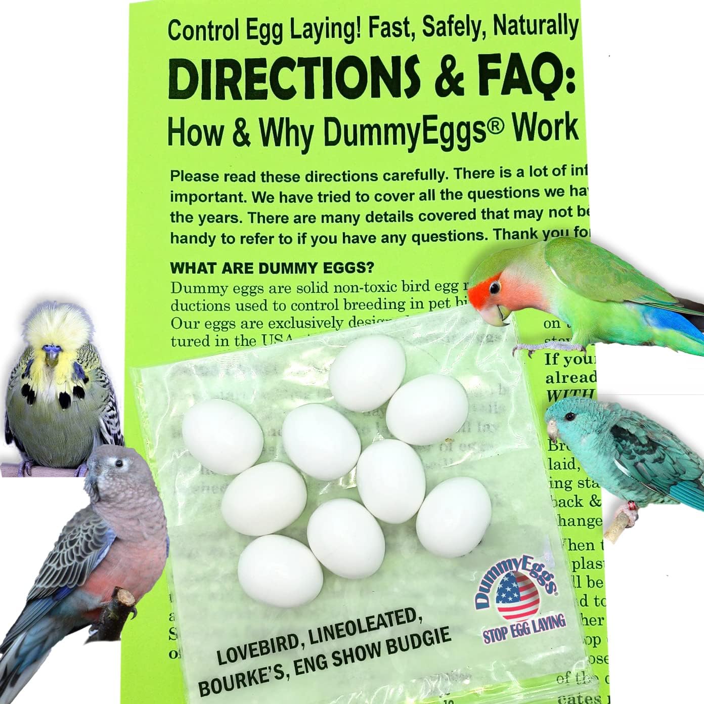 DummyEggsⓇ USA. Lovebird Dummy Eggs Stop Laying! Realistic 7/8" x 3/4" Plastic Fake Bird Eggs for Lovebird, Lineoleated, Eng Budgie, Bourke's. Solid Non-Toxic Plastic. Ship Fast! (Set of 9)