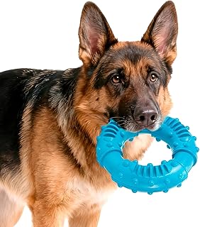 ElevaPulse Hundespielzeug Unzerstörbar Gummi Für Starke Kauer, Unzerstörbares Hundespielzeug, Kauspielzeug Hund, Spielerische Zahnpflege Ring Spielzeug Für Kleine, Mittlere & Große Hunde﻿(13cm)