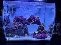 Review Image by Brandon C. Brandon C.