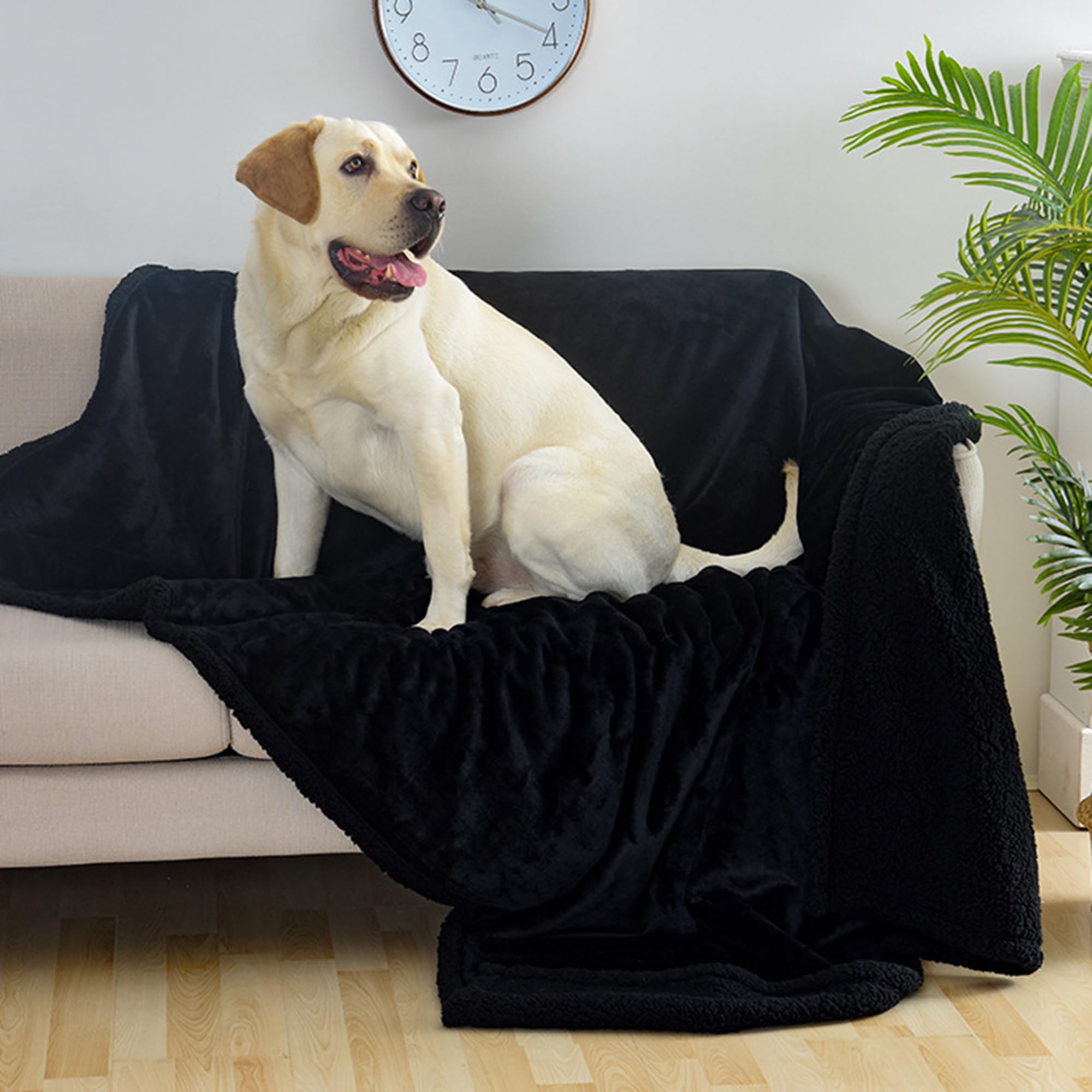Manta grande para mascotas, paquete de 2 mantas para perros, manta lavable para gatos, impermeable, manta calmante para perros y gatos, manta versátil para perros y gatos, manta versátil para