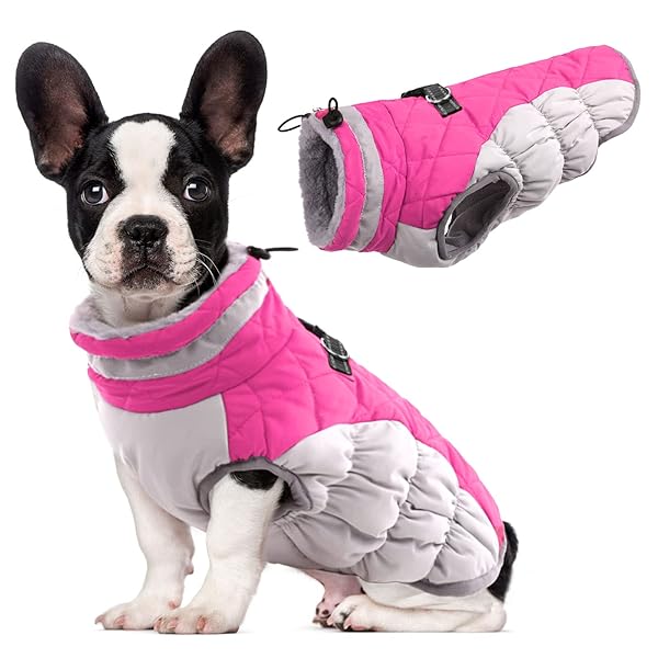 Lelepet Dog Coat Warm Dog Winter Coat Waterproof Dogs Jacket with Harness Built in Reflective Pet Fleece Vest Zip-Up Cold Weather Coats for Medium Dogs Turtleneck & Windproof Coats Dachshund Rose Red