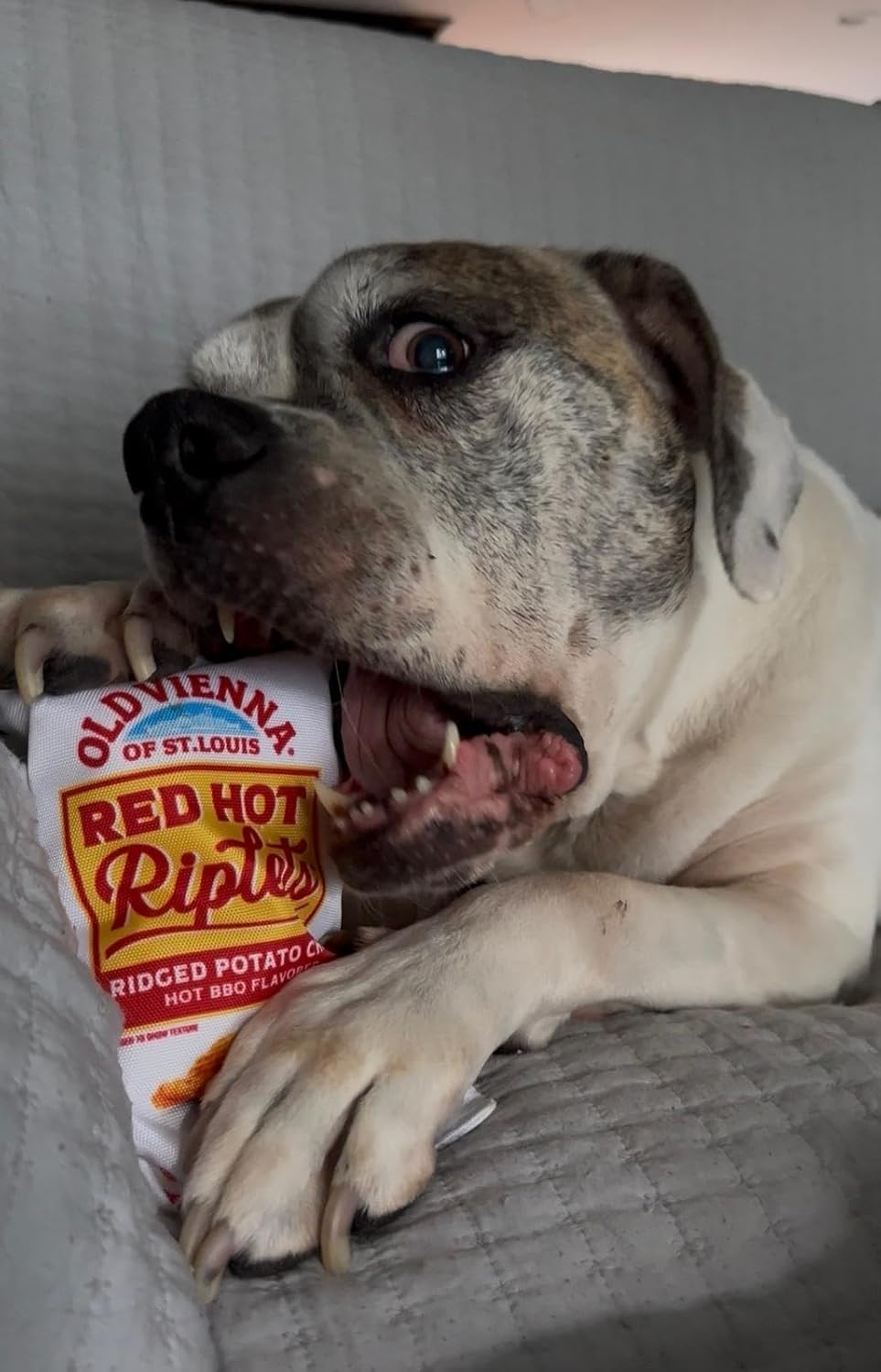 Red Hot Riplets Dog Toy, Plush Squeaky Chip Bag for Dogs, Durable Funny Pet Toy, Novelty St. Louis Gift for Dog Lovers, Limited Edition Collectible
