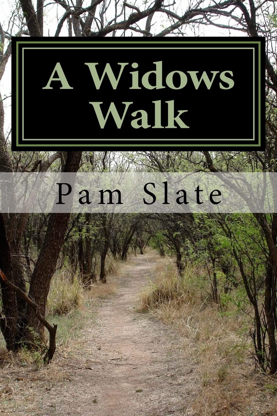 A Widows Walk: (From Vietnam Veteran to Now)