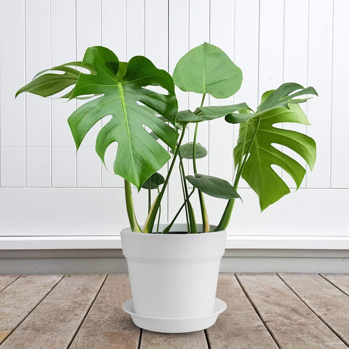 homenote 7/6/5/4 inch Plastic Planters Indoor Set of 4 White Plant Pots with Drainage Trays Modern Round Flower pots for House Plants, Succulents, Flowers