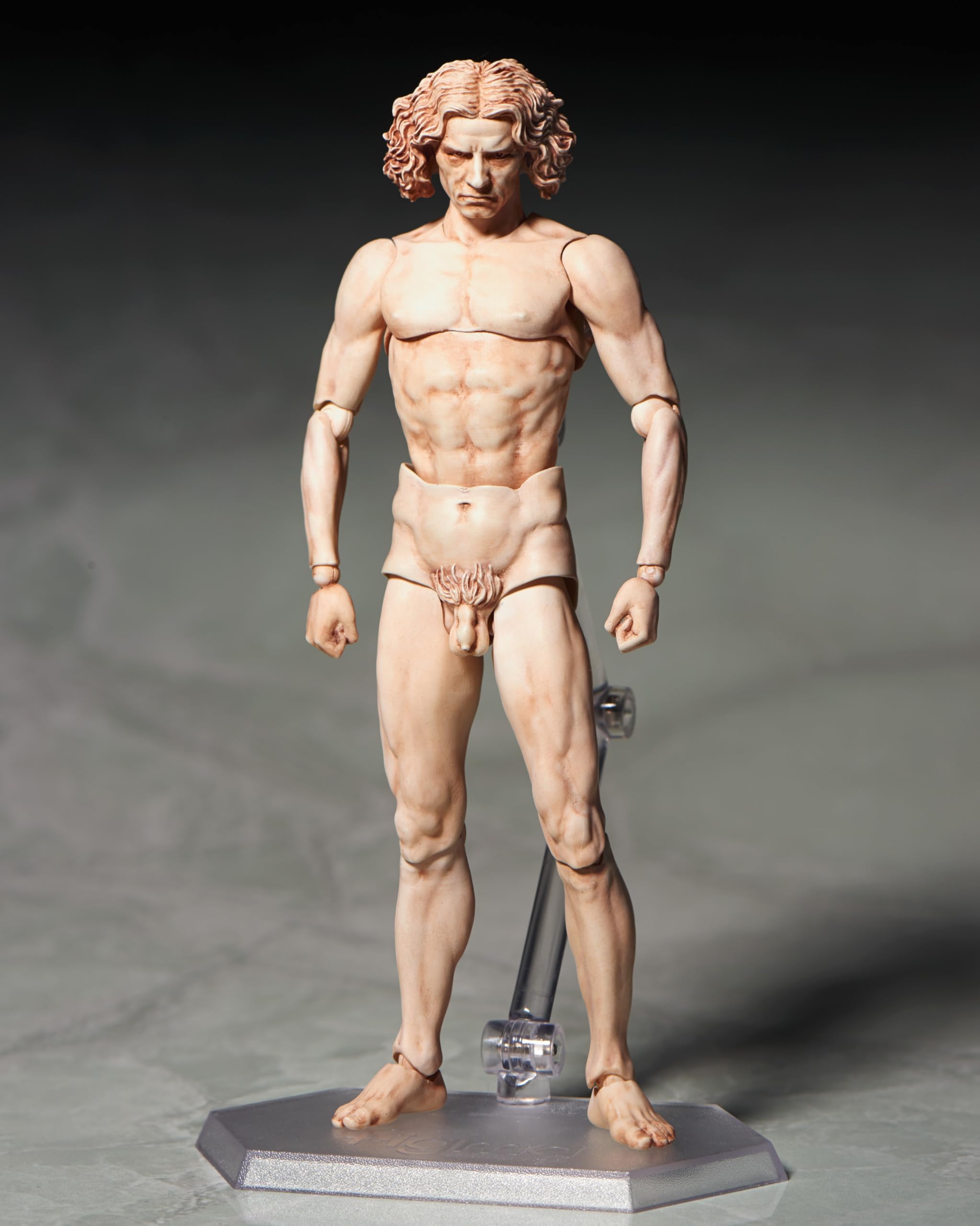 Amazon | figma ウィトルウィウス的人体図 ノンスケール PVC&ABS製