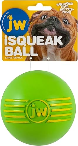 BJuguete para perros, pelota de goma, los colores varían, de JW Pet, L, Variados