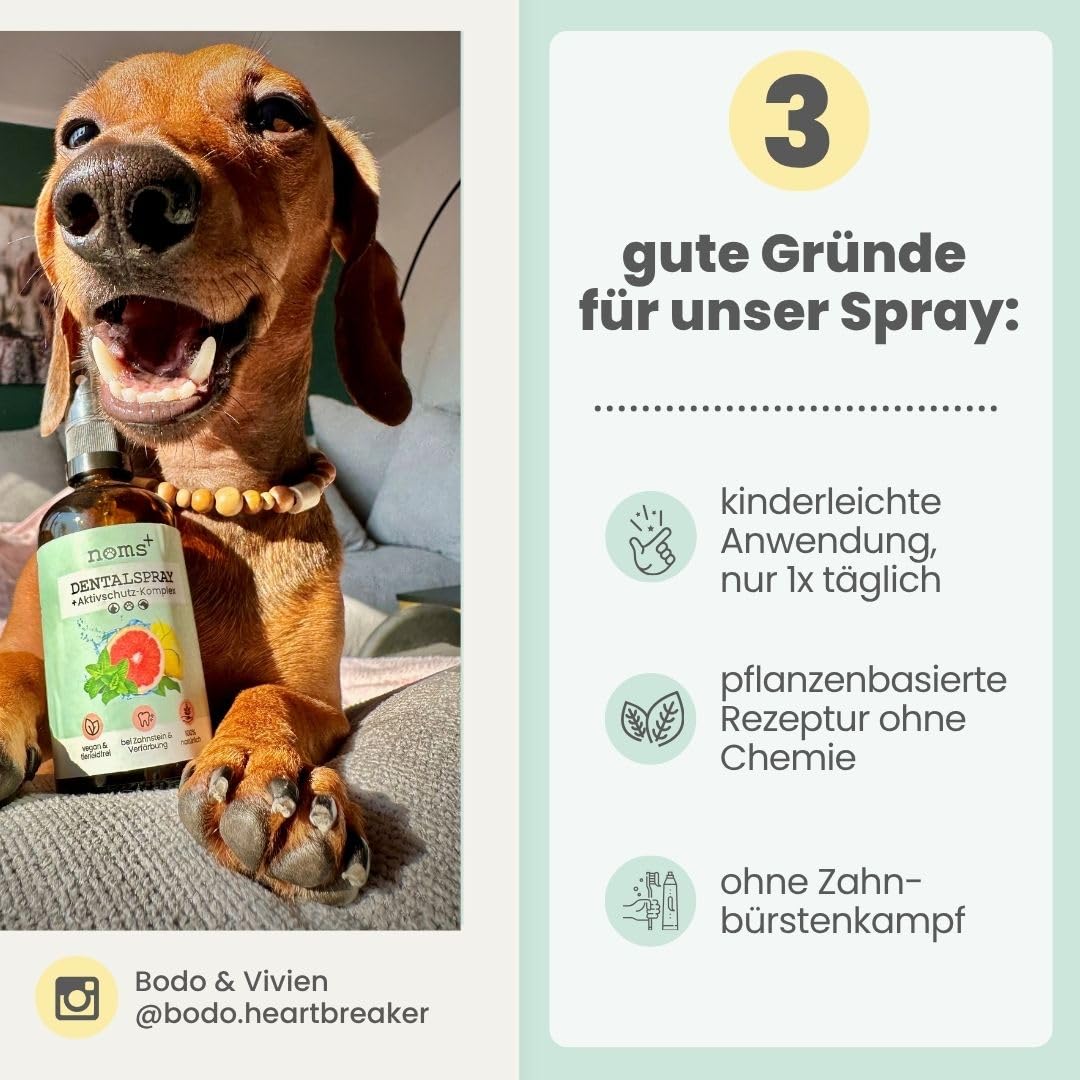 noms+ TESTURTEIL MOLTO BUONO 01/25 Spray dentale per cani e gatti magazzino annuale, spray rimuove la placca dentale 100% naturale, contro tartaro, alitosi, placca per la pulizia dei denti e rimozione