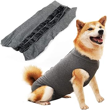 clothes for my dog