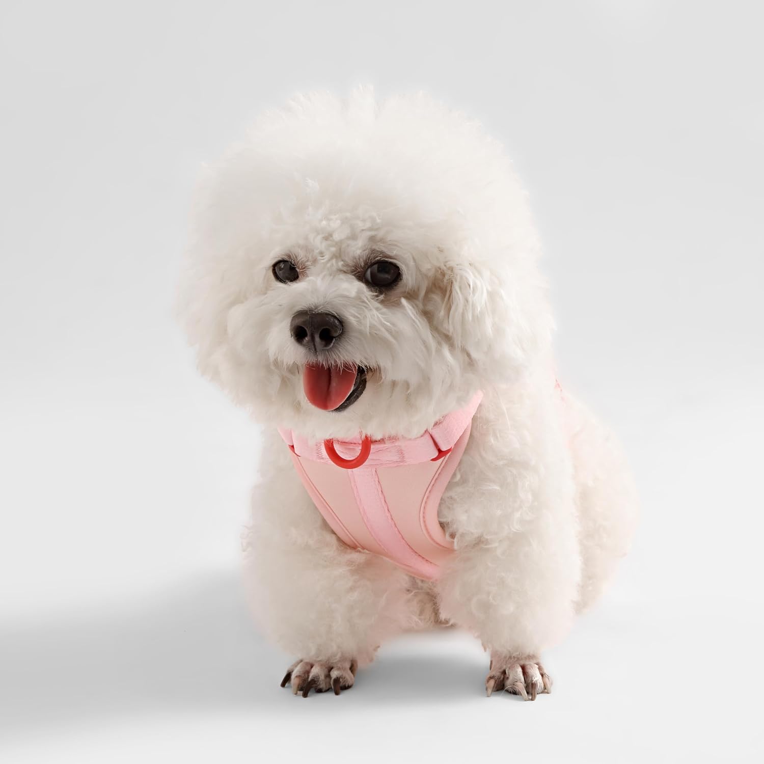 HNS1001G Arlo Small Adjustable Soft Padded No Pull Pet Harness with 3 Buckles and 3 Leash Clips, Paloma