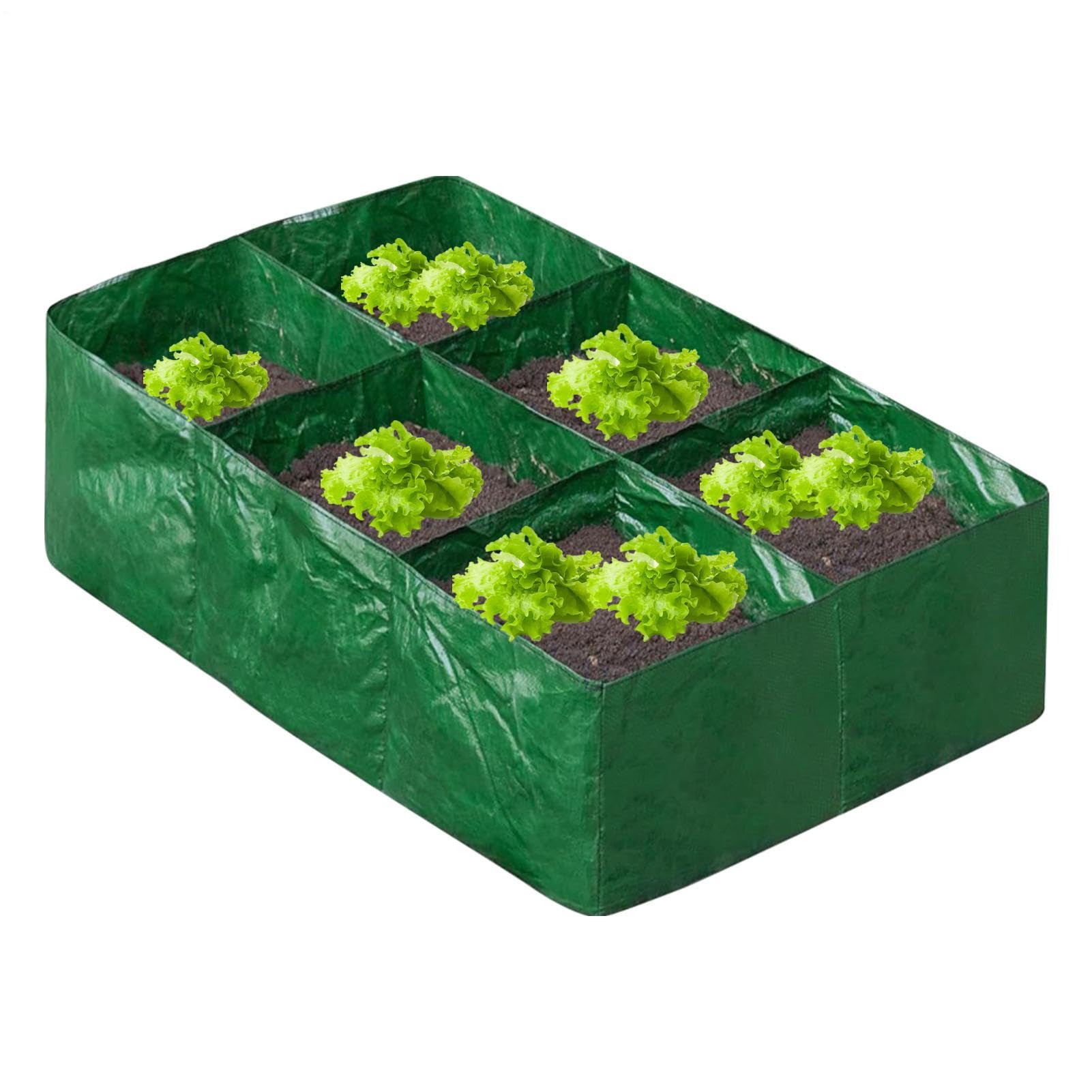 Contenedor para el cultivo de plantas y hortalizas en bolsas de inicio de plántulas