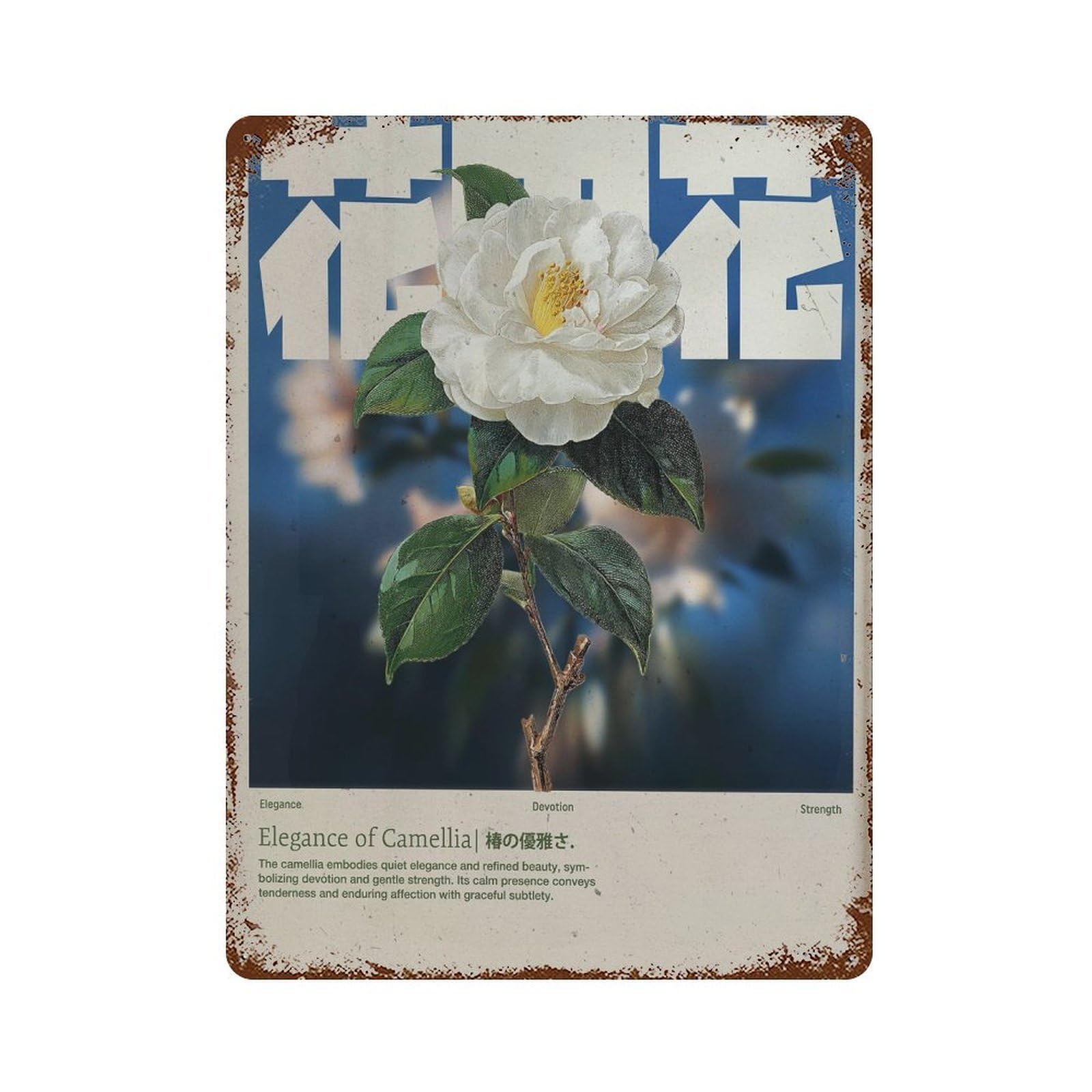 xiaoxiaoshen Camellia Flower. Botanical Retro Indie Wall Decor Art Metal Tin Poster Modern Home Decor Art Home Bar Shop Decorations Vintage Sign 40x30cm