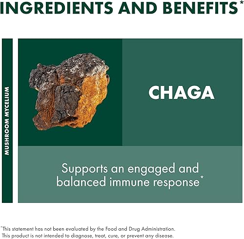 Miniatura 6 de Host Defense Cápsulas Chaga - Suplemento de apoyo del sistema inmunológico - Cápsulas de hongos Chaga para apoyo a la actividad antioxidante -