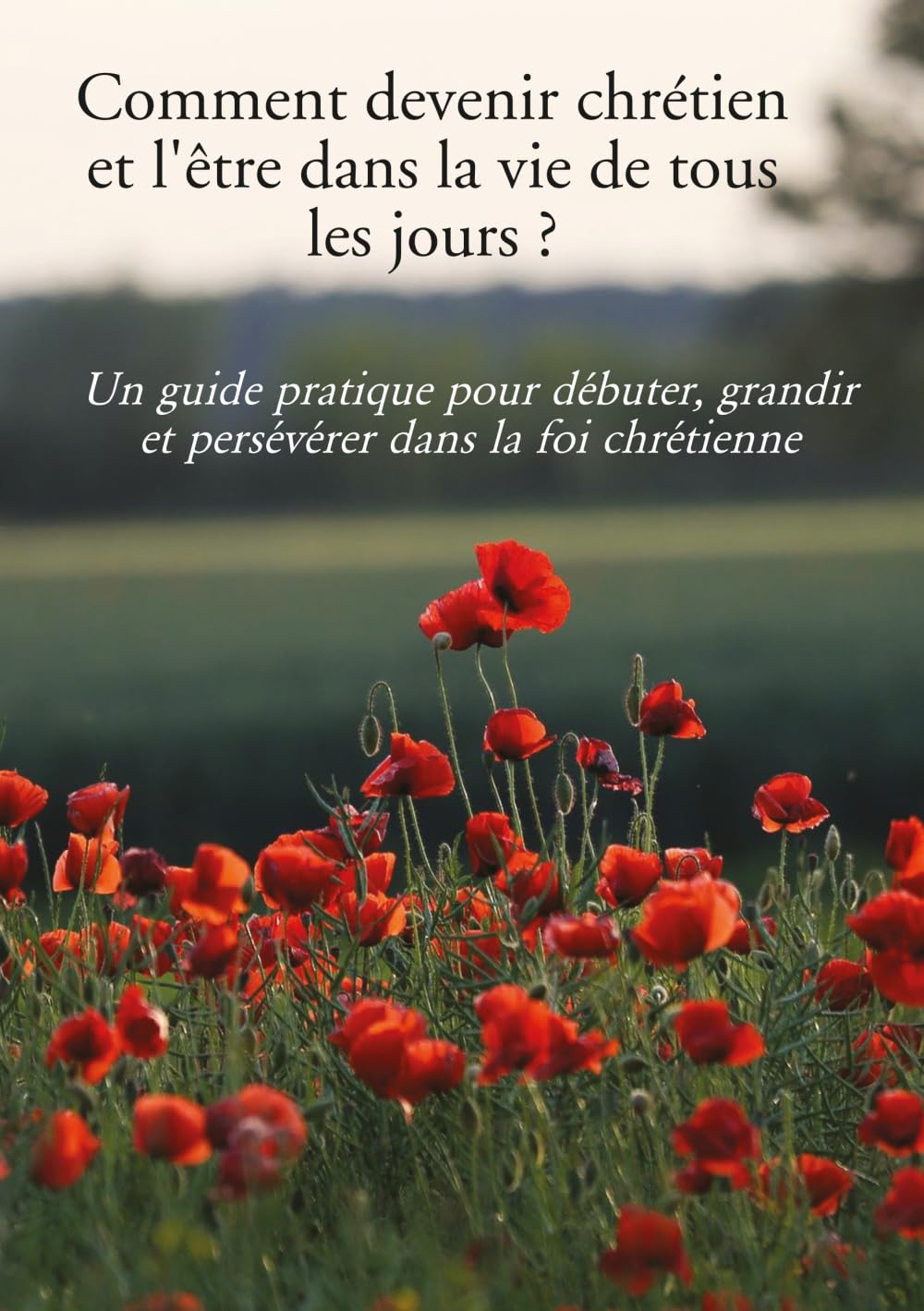 Comment devenir chrétien et l’être dans la vie de tous les jours ?: Un guide pratique pour débuter, grandir et persévérer dans la foi chrétienne