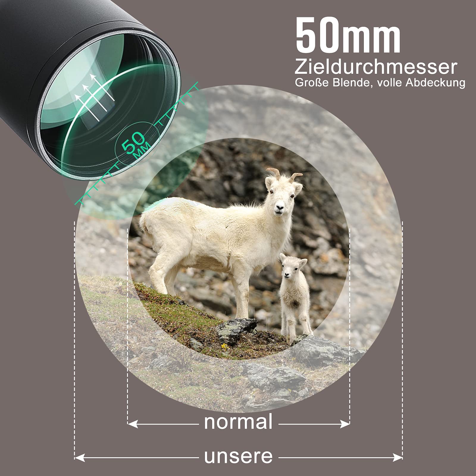 HENGMEI Lunette de Visée 6-24x50AOEG Télémètre Rouge & Vert Mil-Dot Chasse avec Anneaux de Montage Rail pour Chasse