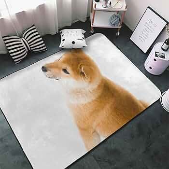 71i1-gv6JjL._AC_UF350,