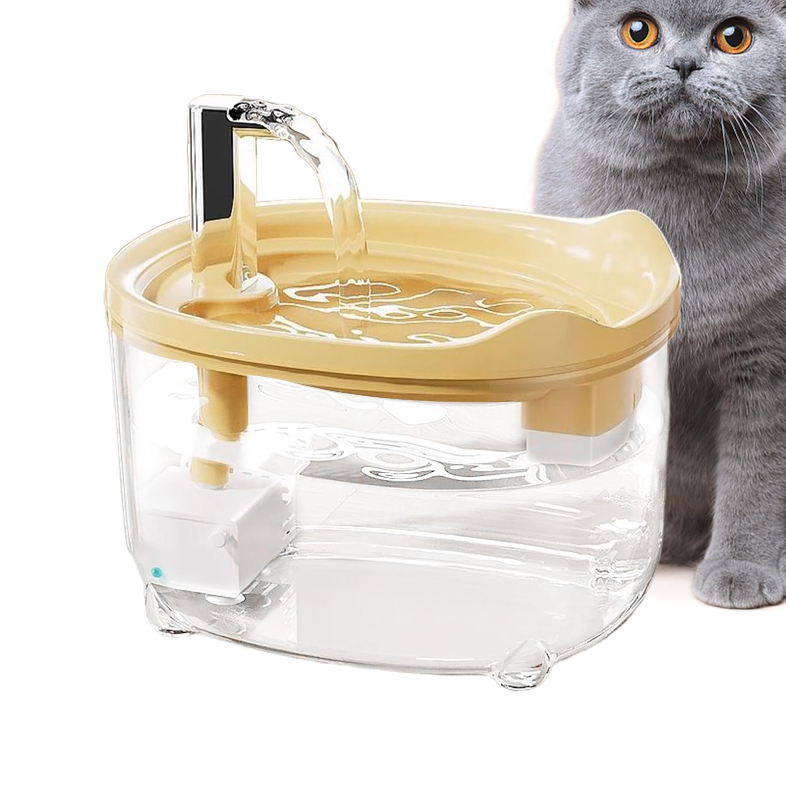 Fontaine à eau pour animaux domestiques : la station d'alimentation idéale en appartement