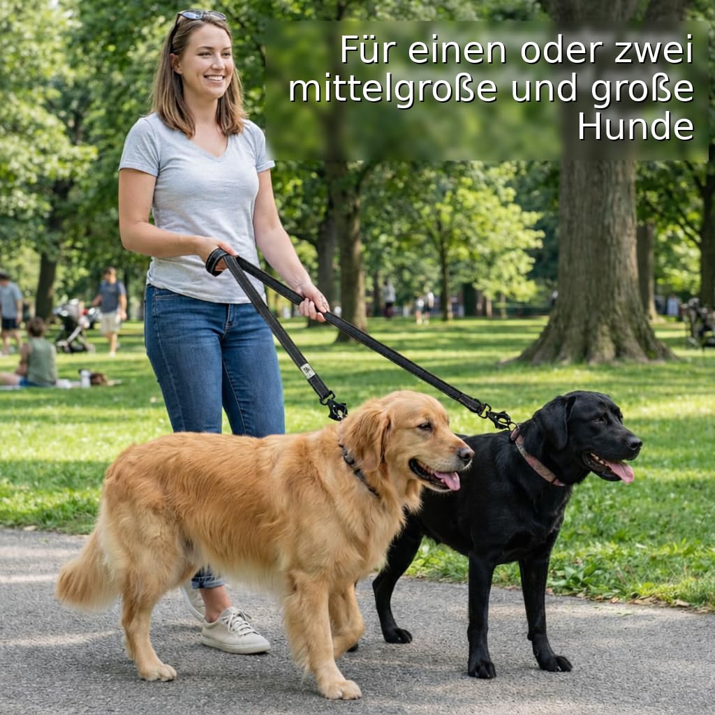 Lina Pet Hundeleine 3m x 2,5 cm, Verstellbare Doppelleine aus Nylon mit Aluminium-Karabiner, Führleine Reflektierend für große und mittelgroße Hunde