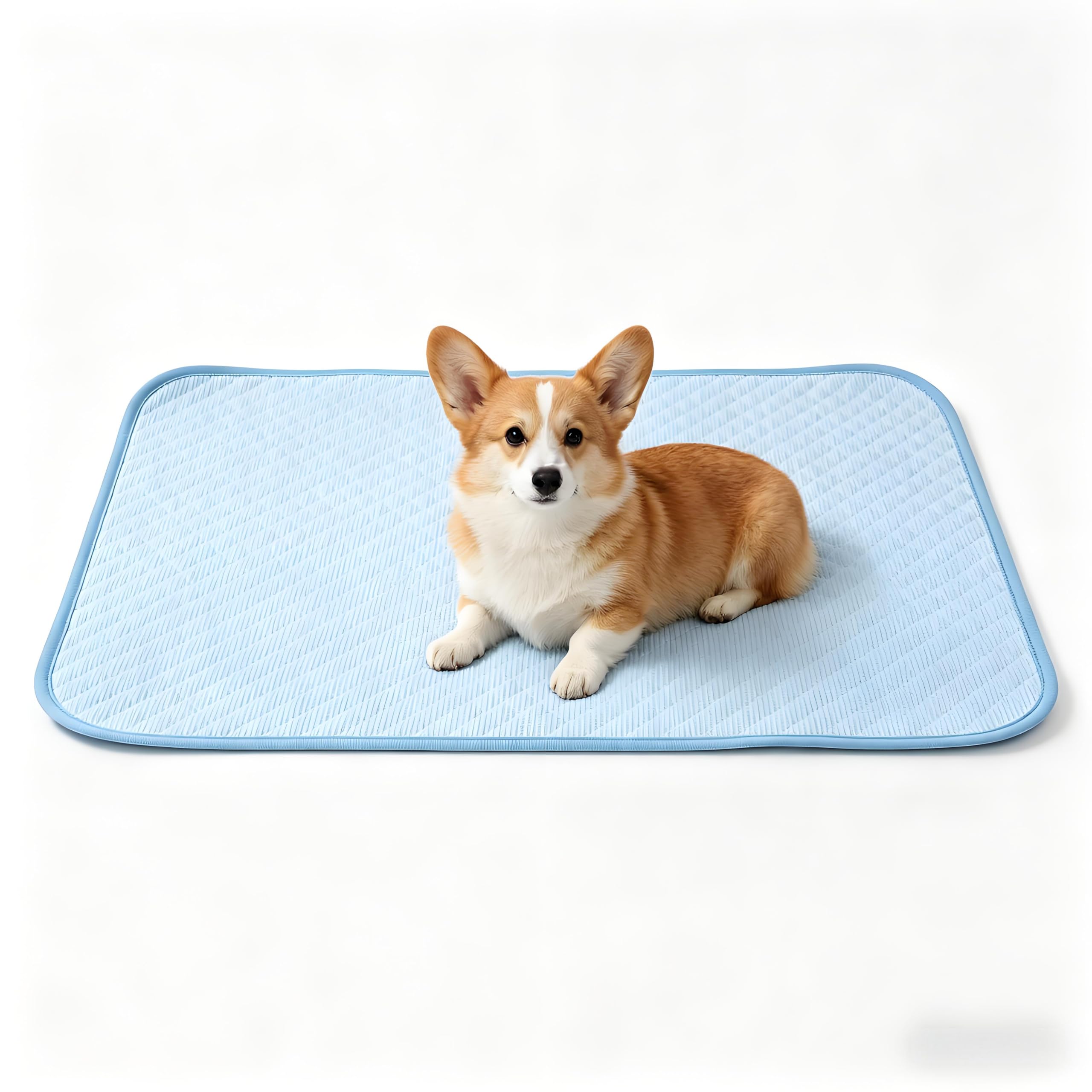 Mtbricey Dog Cooling Mat 50x40cm Cooling Gel Pad for Dogs & Cats Pressure-Activated Self Cooling Pet Mat Durable & Waterproof Fabric Portable for Indoor & Outdoor Use (Blue) โ image 1