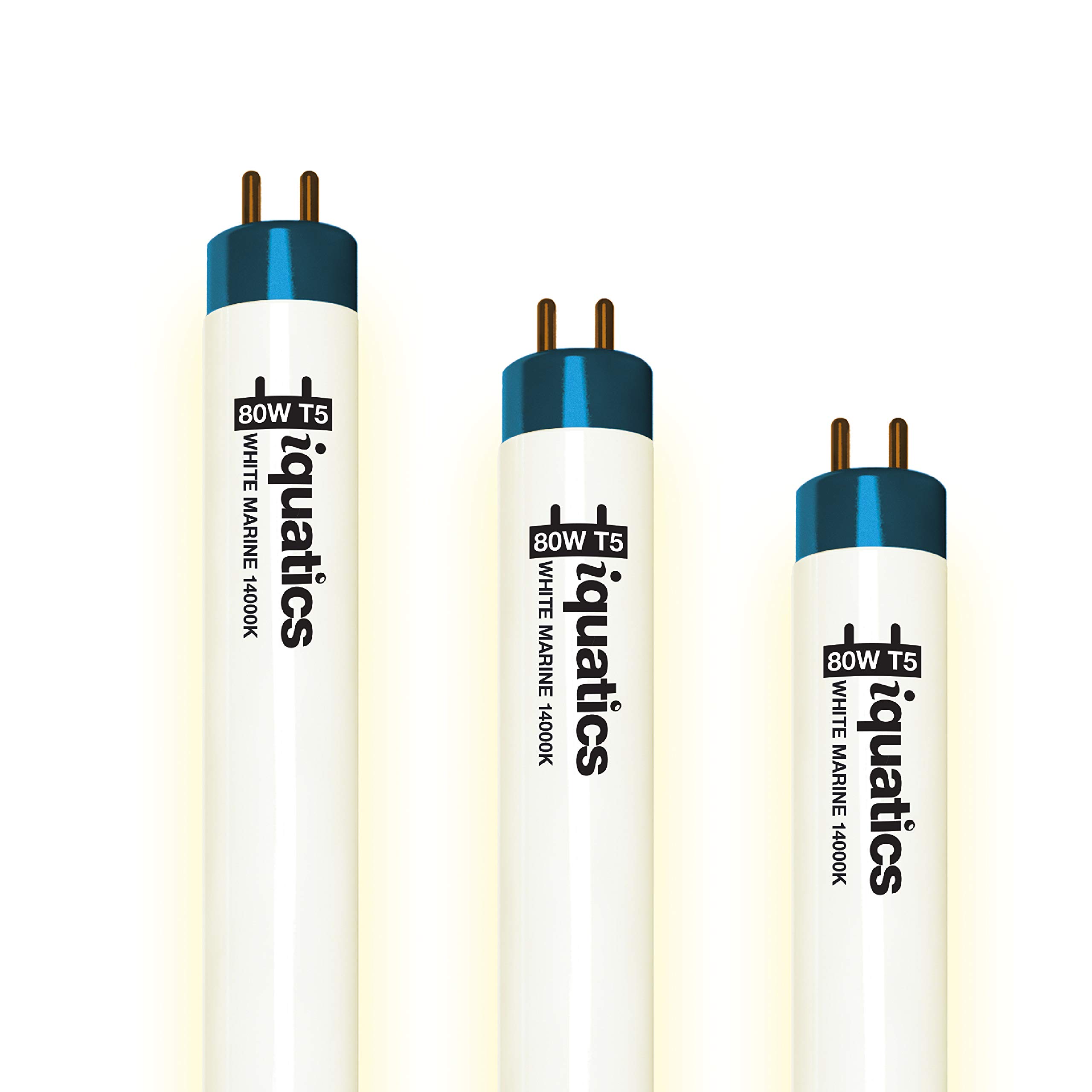 iQuatics Aquarium Marine/Tropical Fish Tank Fluorescent Light Bulb T5 (3 Pack), White 14000k, 80w 1450mm 58”