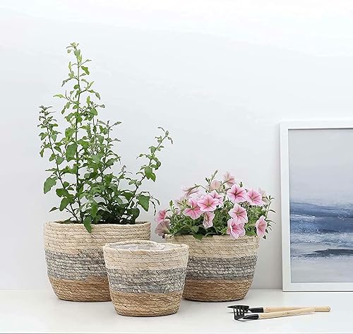 Miniatura 4 de Seagrass  Cesta de almacenamiento hecha a mano para interiores y exteriores, cesta de almacenamiento con forro de plástico impermeable para plantas