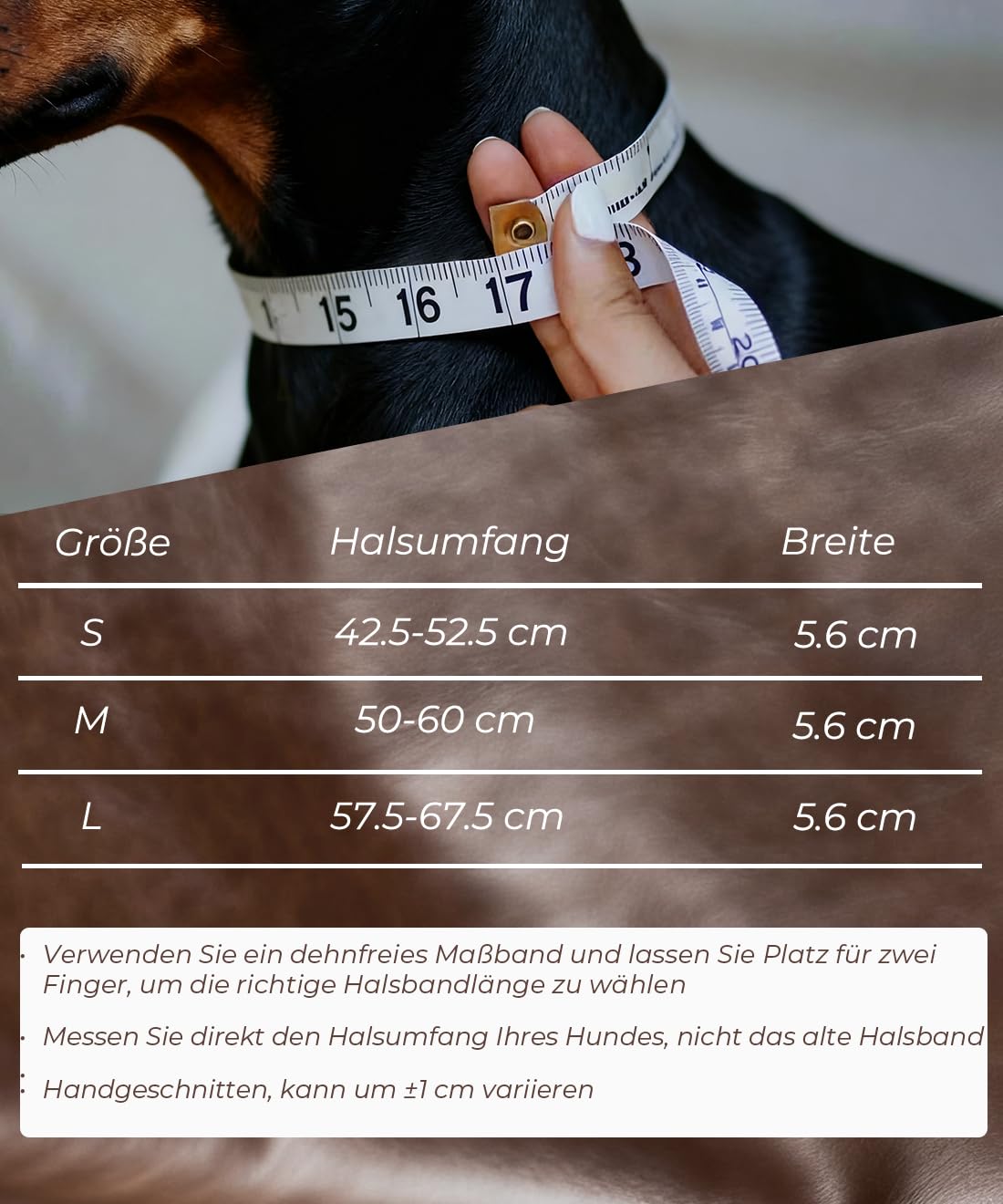 EliteGuard Collar de Perro de Cuero de 5,6 cm de ancho, hecho a mano con remaches y hebilla de acero inoxidable, para uso diario en perros grandes, color negro, 57,5-67,5 cm