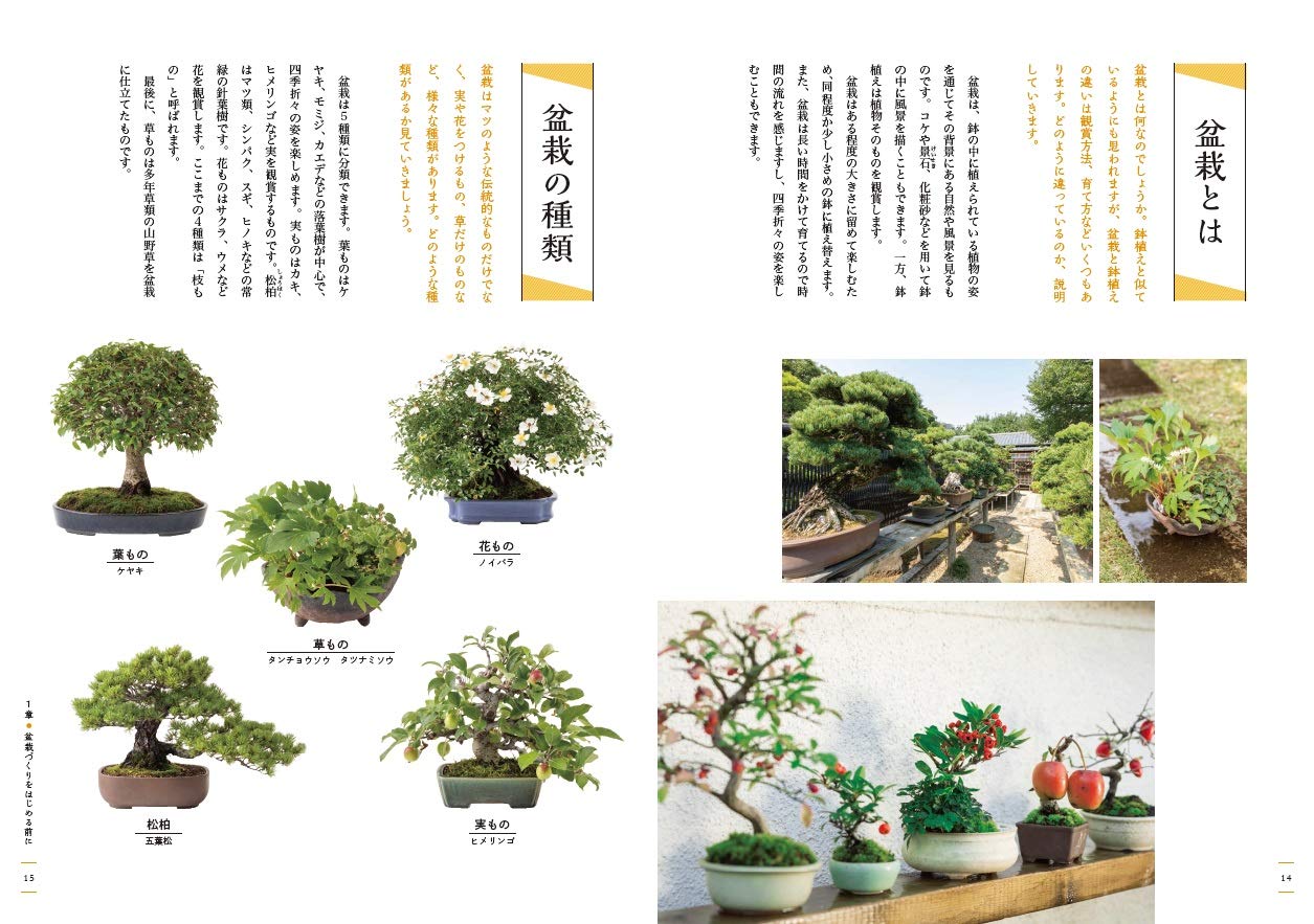 はじめての盆栽 失敗しない8つのコツ 山田香織 配送料無料