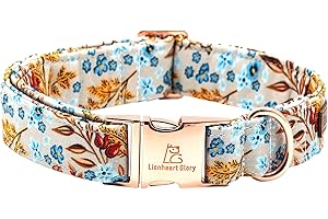 Lionheart glory Foggy Dog Collars: Enhance Visibility for Adventures