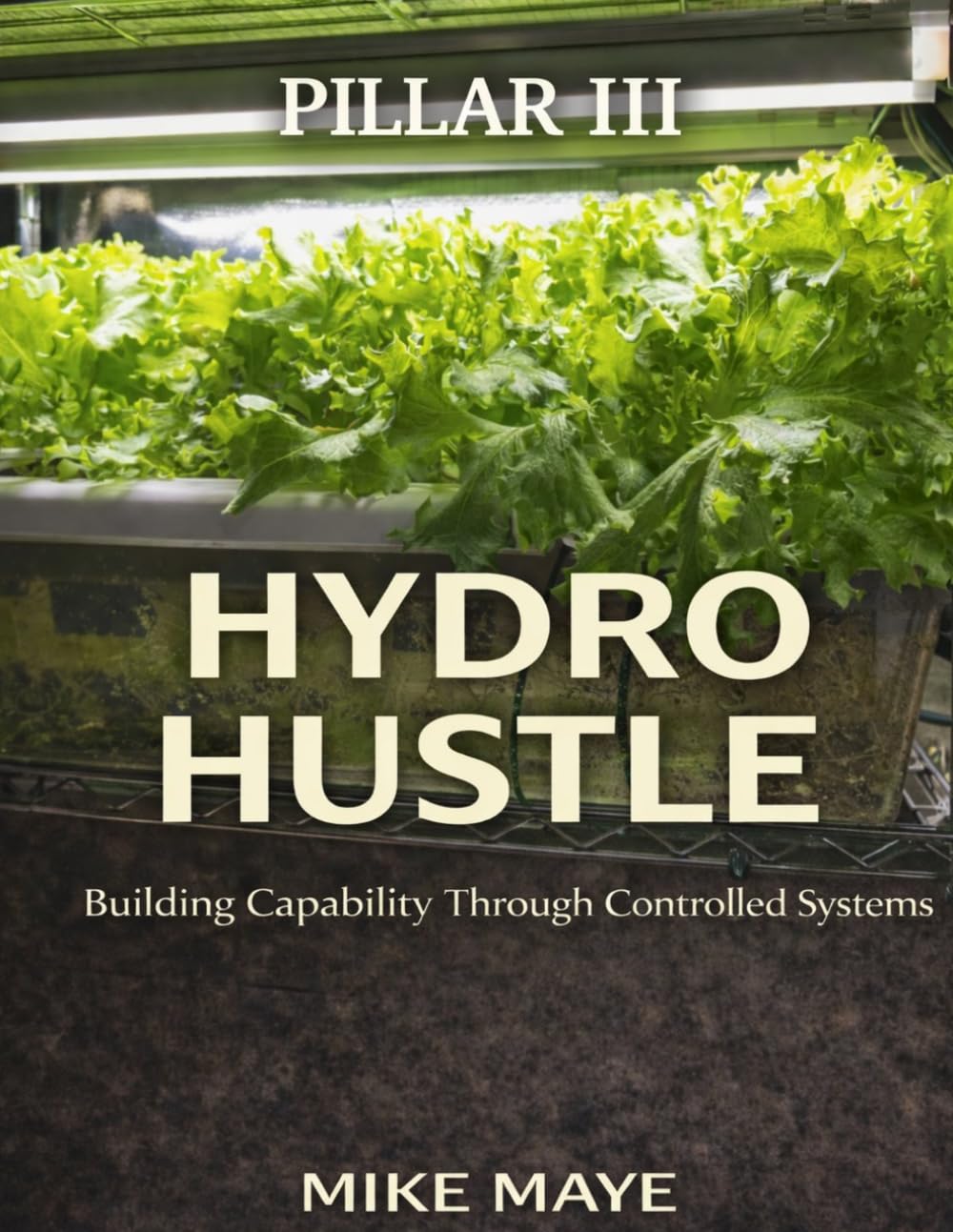 Pillar III: HYDRO HUSTLE: Building Capability Through Controlled Systems (Self Mayed Forge™ Workshop Series™)