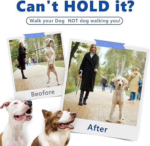 Miniatura 10 de Collar para perro (S, 1)