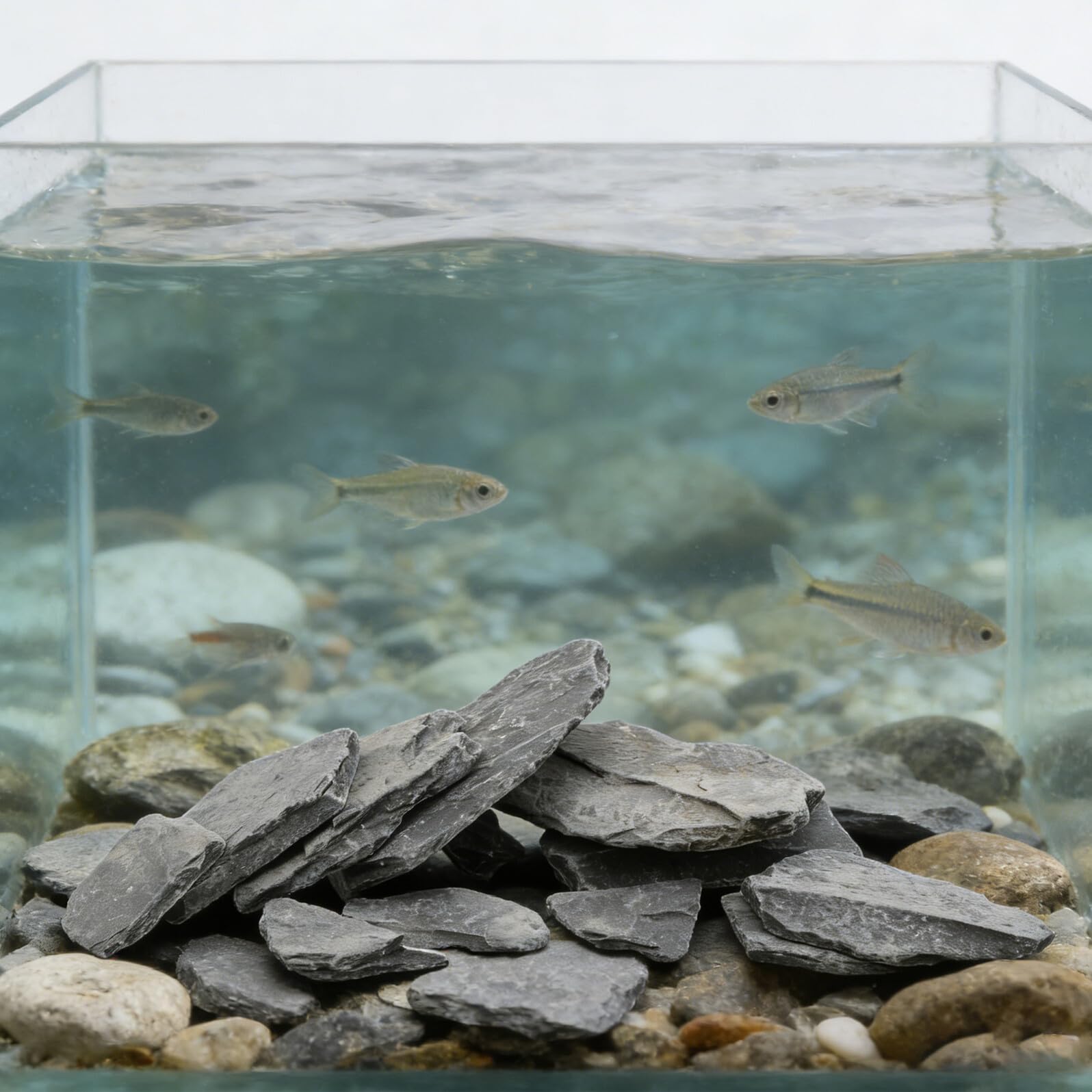Natürliche Aquarienfelsen für Garnelen und Schildkröten Fördert Erkundung Einfach zu Pflegen für Aquascaping und Bürodekoration