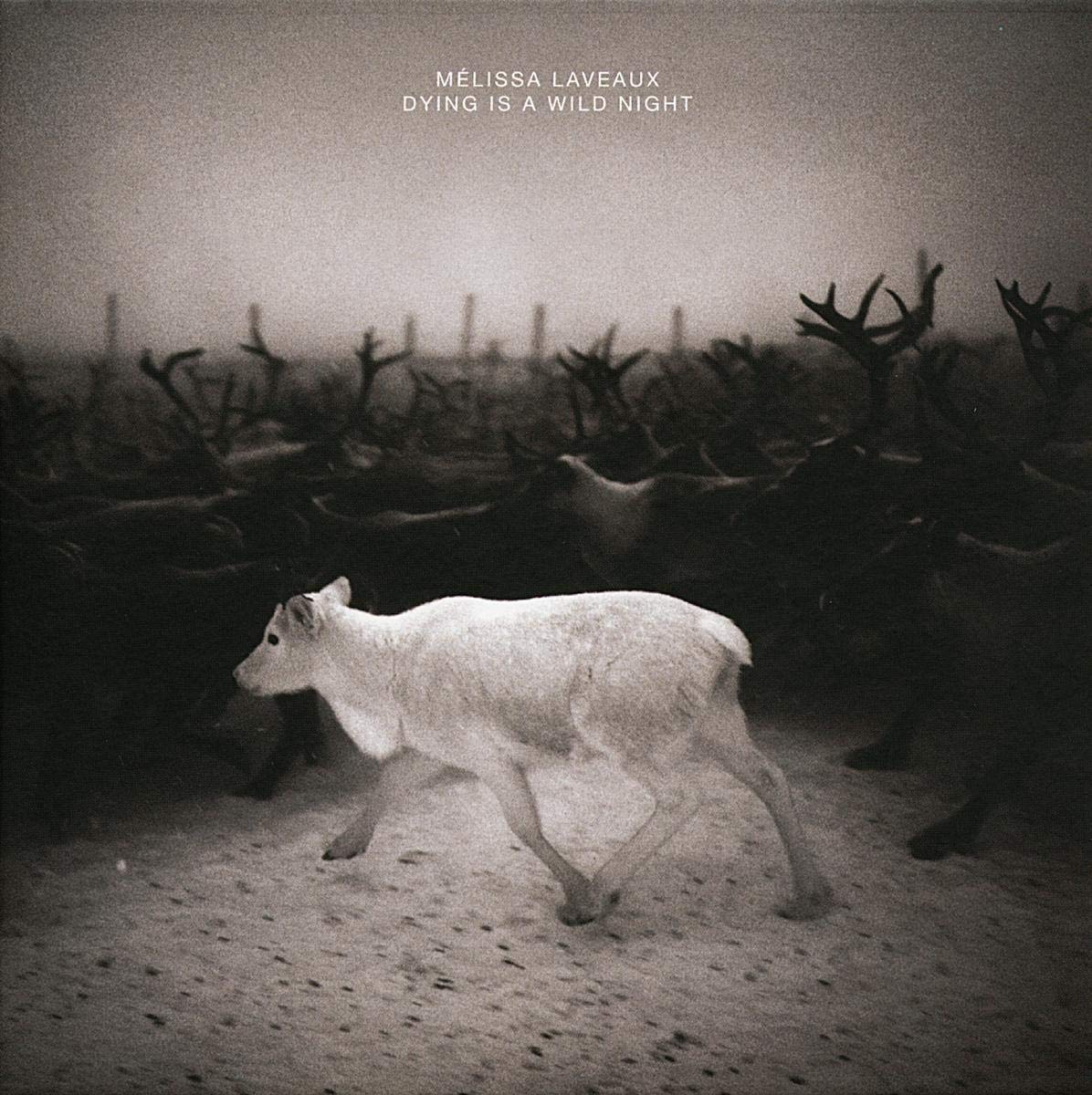 Dying Is A Wildnight [VINYL]