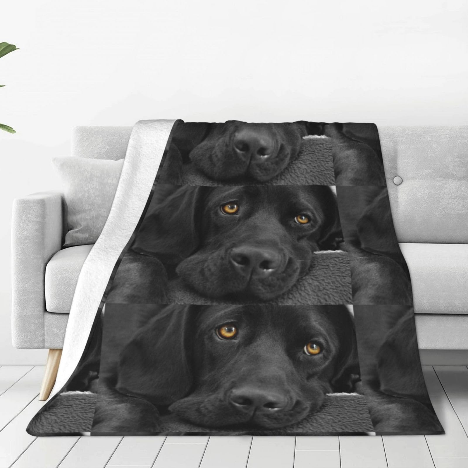 Vhomes Black Blanket Labrador Dog Soft Throw Blanket All Season Warm Blankets Lightweight Fuzzy Flannel Throws For Bed Sofa Couch 150X125 Cm