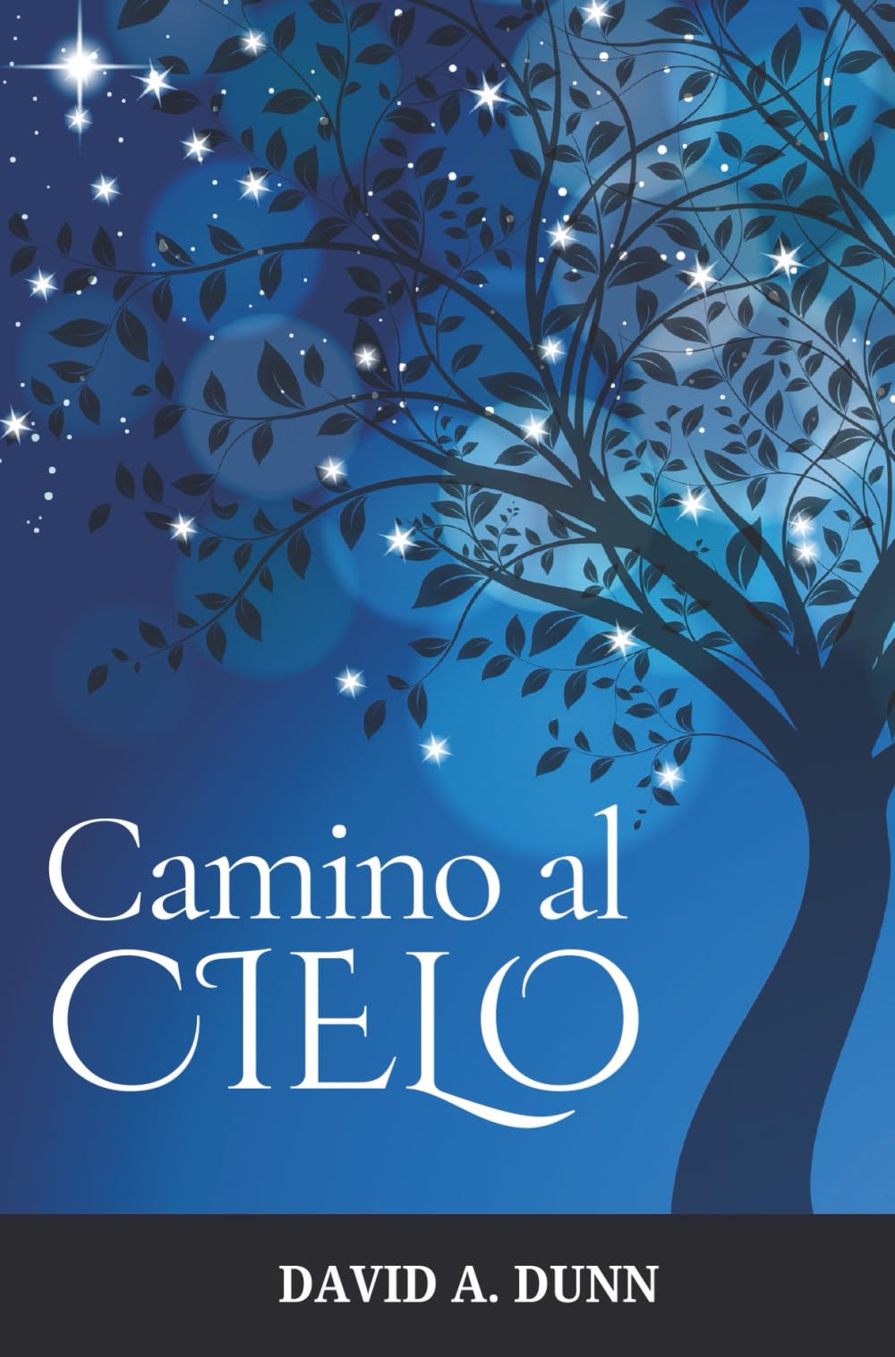 Camino Al Cielo